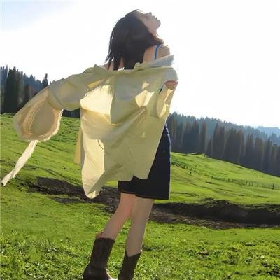 飞鹰艾迪